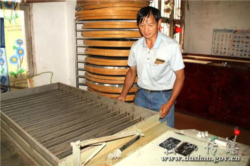 大山深處黨旗紅 黨建引領下的茶葉加工產業振興之路